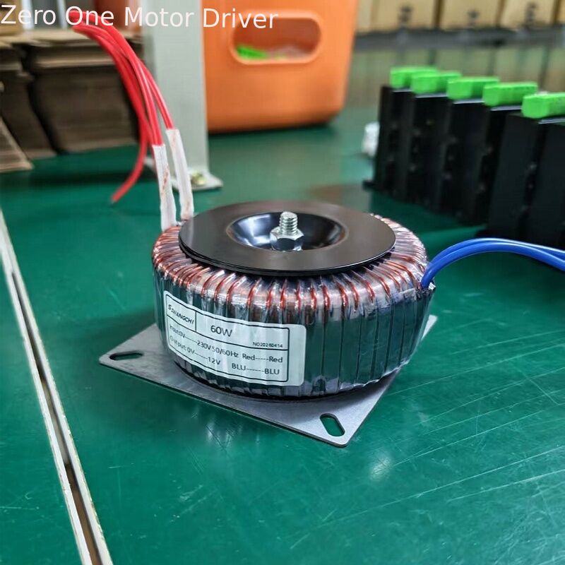 Pure Copper Wire 60W Toroidal Transformer Input 110V 220V 230V 240V Output 9V 12V 15V 18V 24V 36V 48V For Audio Amplifier